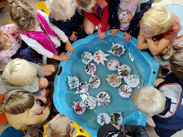 Kleuren Van De Zee: kleurrijke en speelse opdrachten