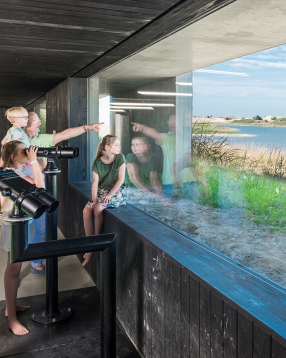 Activity by the sea: Zwin Nature Park (Knokke)