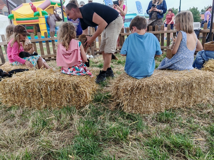 Activiteit aan zee: De Weide Kijk: Mobiele zorgboerderij (Bredene)