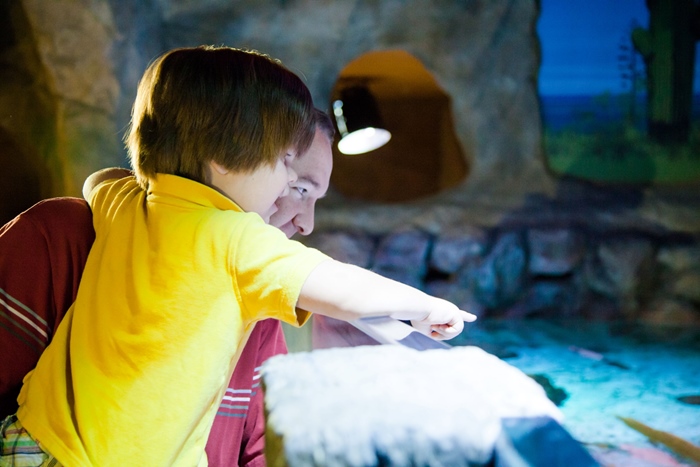 Sealife Blankenberge activiteiten zeeklassen kust schoolreis leerlingen jeugdcentrum accommodatie vakantieverblijf JVC jeugdverblijfcentrum