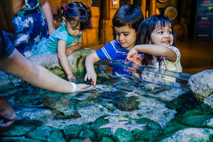 Sealife Blankenberge activiteiten zeeklassen kust schoolreis leerlingen jeugdcentrum accommodatie vakantieverblijf JVC jeugdverblijfcentrum