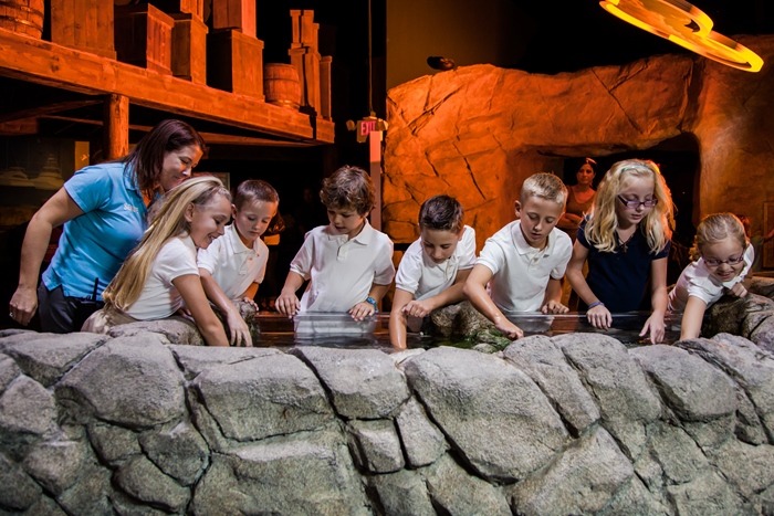 Sealife Blankenberge activiteiten zeeklassen kust schoolreis leerlingen jeugdcentrum accommodatie vakantieverblijf JVC jeugdverblijfcentrum
