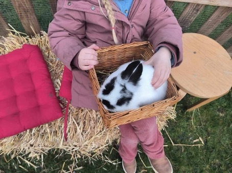 Activiteit aan zee: De Weide Kijk: Mobiele zorgboerderij (Bredene)