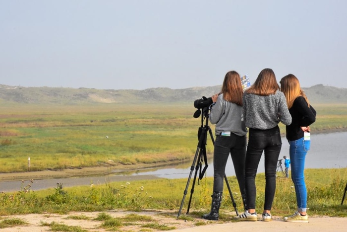 Activity by the sea: Zwin Nature Park (Knokke)