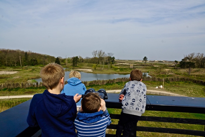Activity by the sea: Zwin Nature Park (Knokke)