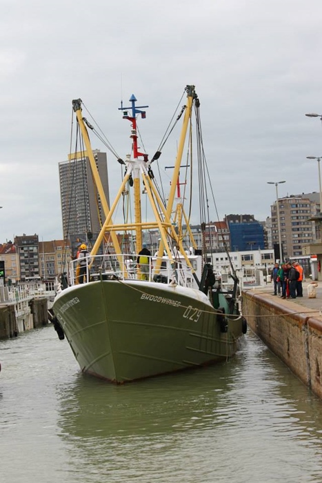 Activiteit aan zee: Havenwandeling Oostende (Oostende)