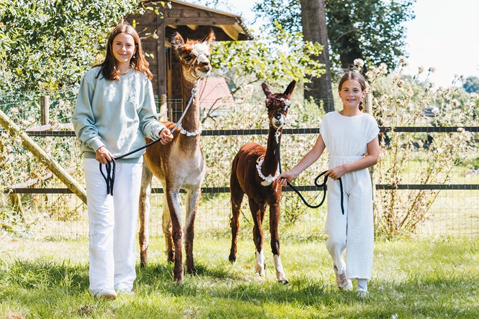 Alpaca parcours in Horizon Bredene