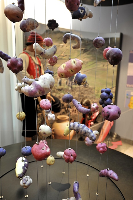 Frietmuseum Brugge zeeklassen "Vlaamse kust " schoolreis activiteiten jeugdcentrum accommodatie groepsaccommodatie JVC jeugdverblijfcentrum