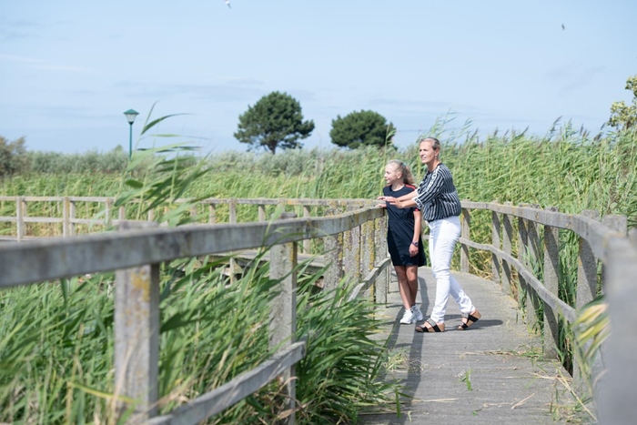 Activity by the sea: Recreational Area Grasduinen (Bredene)