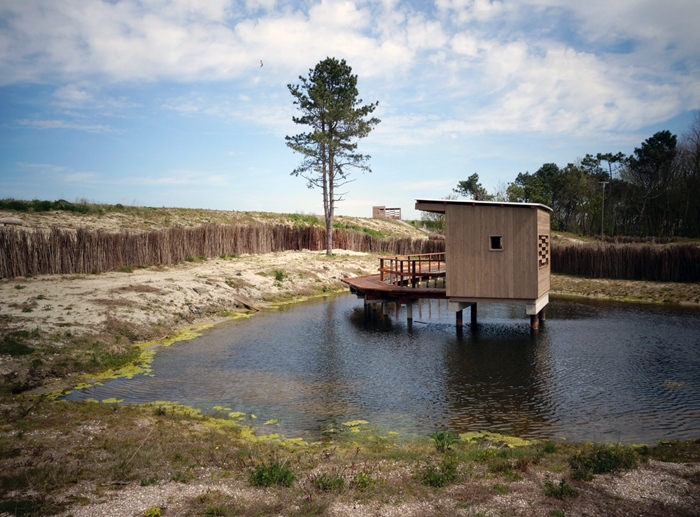 Activity by the sea: Zwin Nature Park (Knokke)