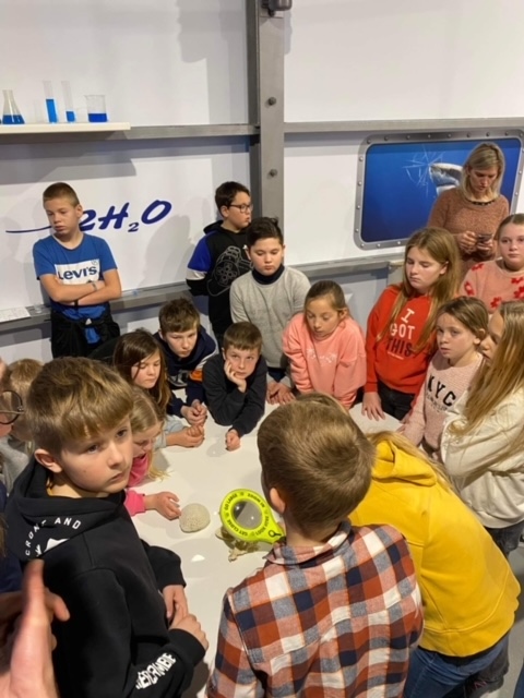 Sealife Blankenberge activiteiten zeeklassen kust schoolreis leerlingen jeugdcentrum accommodatie vakantieverblijf JVC jeugdverblijfcentrum