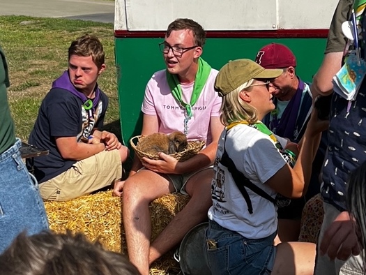 Activiteit aan zee: De Weide Kijk: Mobiele zorgboerderij (Bredene)