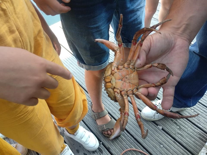 Activiteit aan zee: Krabben Vangen (Oostende)