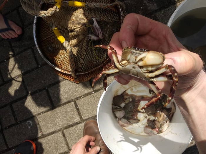 Activiteit aan zee: Krabben Vangen (Oostende)