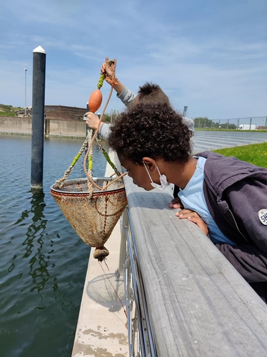 Activiteit aan zee: Krabben Vangen (Oostende)