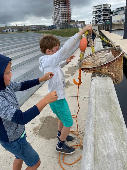 Activiteit aan zee: Krabben Vangen (Oostende)
