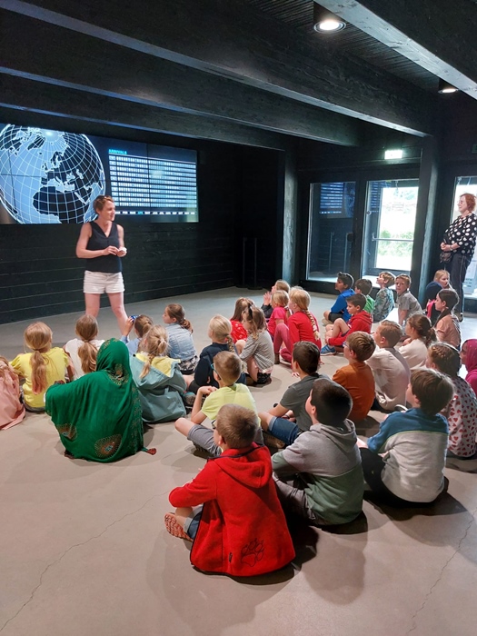 Activity by the sea: Zwin Nature Park (Knokke)