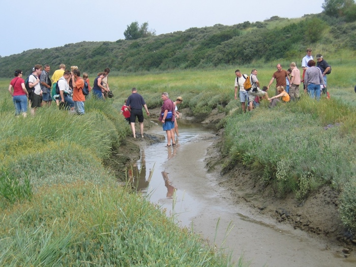 Activity by the sea: Zwin Nature Park (Knokke)