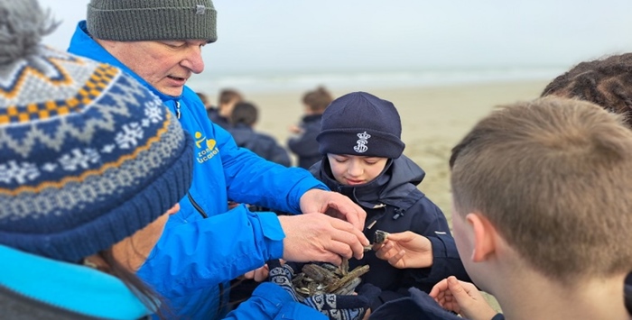 Activiteit aan zee: Schelpen Determinatie (Bredene)