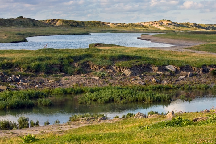 Activity by the sea: Zwin Nature Park (Knokke)
