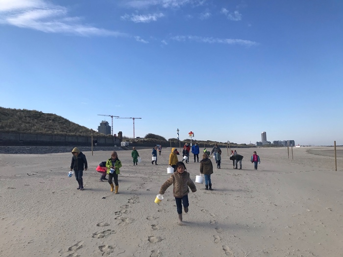Activiteit aan zee: Strandjutten (Oostende)