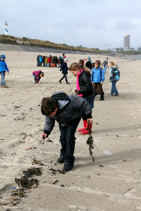 Activiteit aan zee: Strandjutten (Oostende)