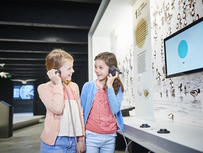 Activity by the sea: Zwin Nature Park (Knokke)