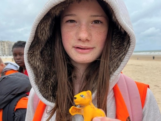 Activity by the sea: Beach Clean with guide (Bredene)