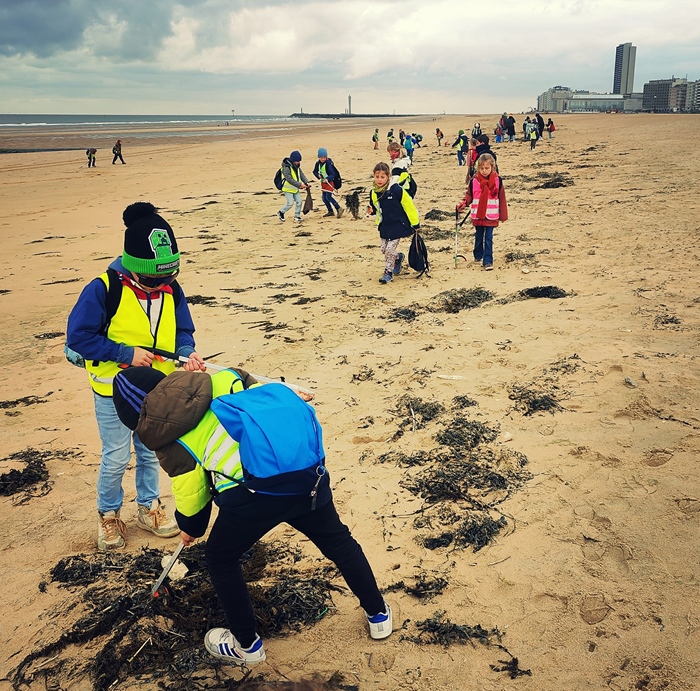 Activity by the sea: Beach Clean with guide (Bredene)