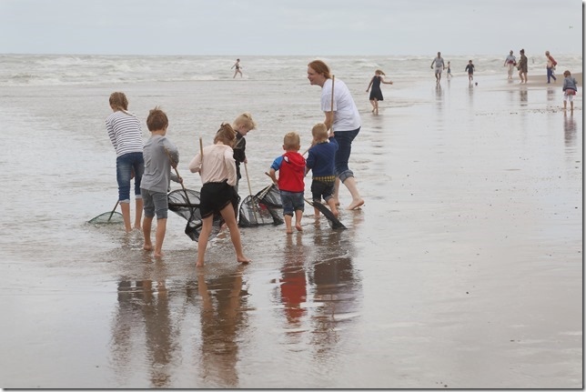 Activiteit aan zee: Visnetjes (Bredene)