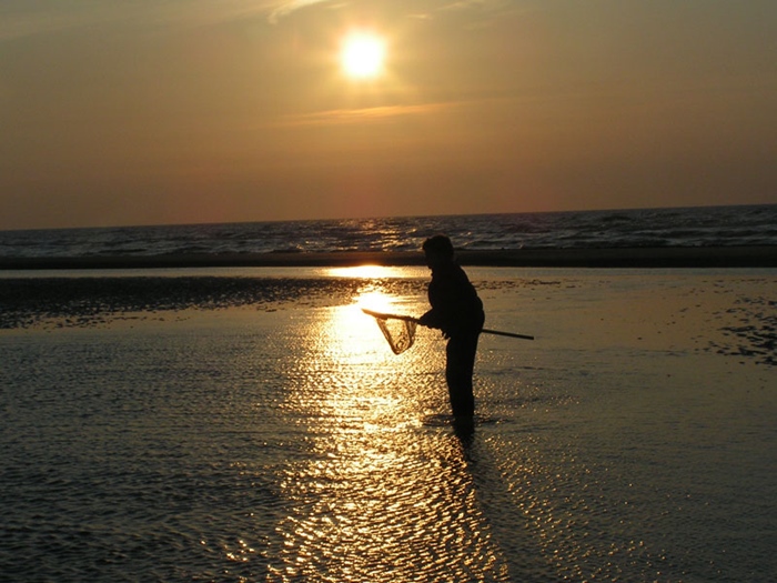 Activiteit aan zee: Visnetjes (Bredene)