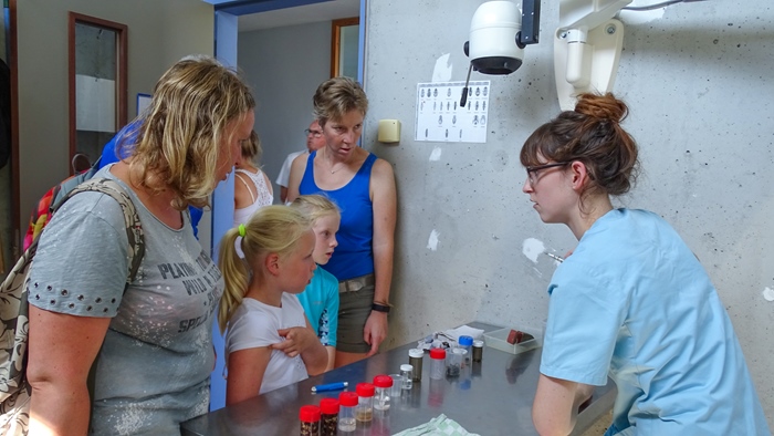 Activiteit aan zee: Vogelopvang centrum (Oostende)