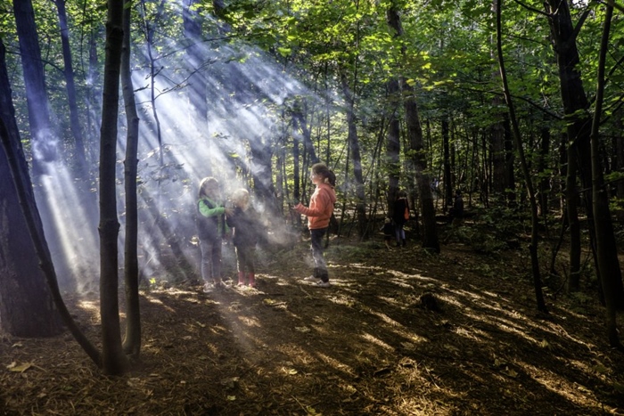 "Het Wonderbos" zeeklassen "Vlaamse kust " schoolreis activiteiten jeugdcentrum accommodatie vakantieverblijf JVC jeugdverblijfcentrum wandeltocht ontdekking 