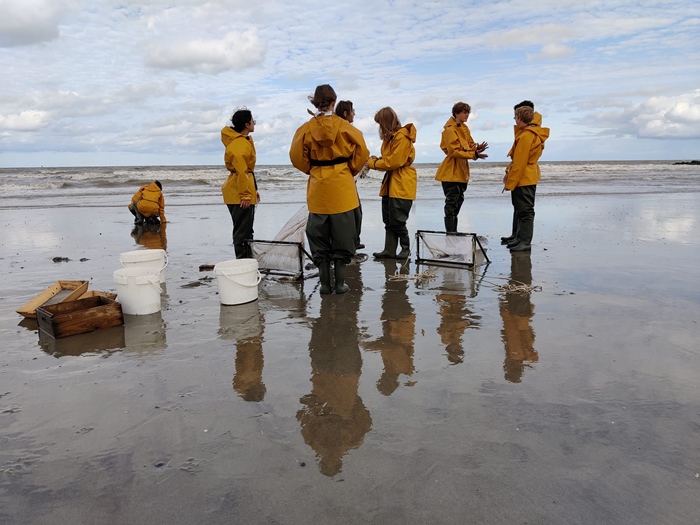 Activiteit aan zee: Zee- en Kustverkenner (Oostende)