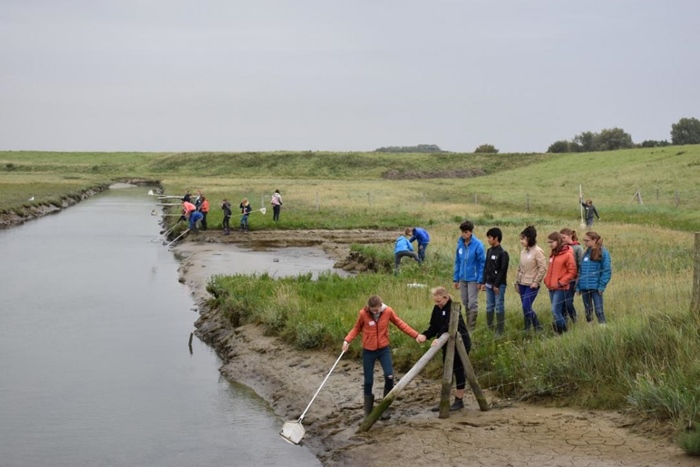 Activity by the sea: Zwin Nature Park (Knokke)