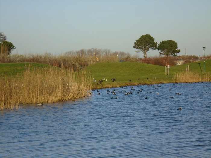 Recreatiedomein Grasduinen